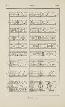 Bild der Seite - 172 - in Handbuch der Ornamentik - Zum Gebrauch für Musterzeichner, Architekten, Schulen und Gewerbetreibende sowie zum Studium im Allgemeinen