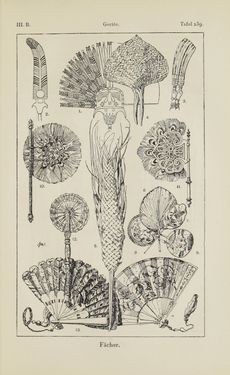 Bild der Seite - 455 - in Handbuch der Ornamentik - Zum Gebrauch für Musterzeichner, Architekten, Schulen und Gewerbetreibende sowie zum Studium im Allgemeinen