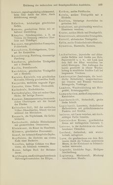 Image of the Page - 599 - in Handbuch der Ornamentik - Zum Gebrauch für Musterzeichner, Architekten, Schulen und Gewerbetreibende sowie zum Studium im Allgemeinen