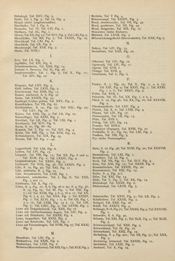Image of the Page - (00000015) - in Heraldischer Atlas - Eine Sammlung von heraldischen Musterblättern für Künstler, Gewerbetreibende, sowie für Freunde der Wappenkunde