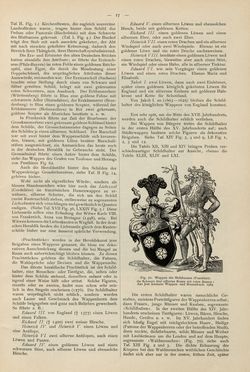 Bild der Seite - 17 - in Heraldischer Atlas - Eine Sammlung von heraldischen Musterblättern für Künstler, Gewerbetreibende, sowie für Freunde der Wappenkunde