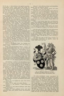 Image of the Page - 17 - in Heraldischer Atlas - Eine Sammlung von heraldischen Musterblättern für Künstler, Gewerbetreibende, sowie für Freunde der Wappenkunde