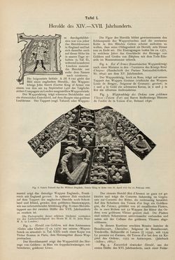 Image of the Page - (00000043) - in Heraldischer Atlas - Eine Sammlung von heraldischen Musterblättern für Künstler, Gewerbetreibende, sowie für Freunde der Wappenkunde