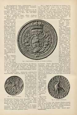 Bild der Seite - (00000234) - in Heraldischer Atlas - Eine Sammlung von heraldischen Musterblättern für Künstler, Gewerbetreibende, sowie für Freunde der Wappenkunde