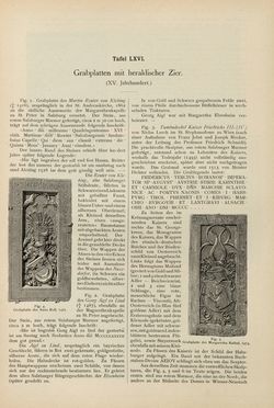 Image of the Page - (00000243) - in Heraldischer Atlas - Eine Sammlung von heraldischen Musterblättern für Künstler, Gewerbetreibende, sowie für Freunde der Wappenkunde