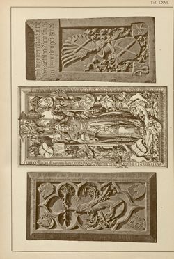 Bild der Seite - (00000245) - in Heraldischer Atlas - Eine Sammlung von heraldischen Musterblättern für Künstler, Gewerbetreibende, sowie für Freunde der Wappenkunde