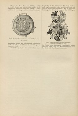 Bild der Seite - (00000266) - in Heraldischer Atlas - Eine Sammlung von heraldischen Musterblättern für Künstler, Gewerbetreibende, sowie für Freunde der Wappenkunde