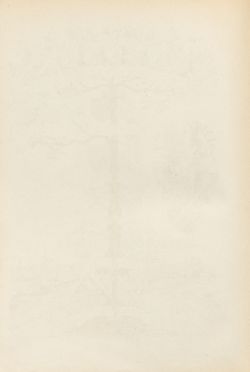 Image of the Page - (00000272) - in Heraldischer Atlas - Eine Sammlung von heraldischen Musterblättern für Künstler, Gewerbetreibende, sowie für Freunde der Wappenkunde