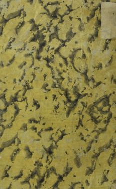 Image of the Page - Einband hinten - in Allgemeines Historien-Buch - von den Merkwürdigen Entdeckungen fremder ehedem ganz unbekannter Länder und Inseln