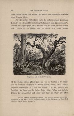Bild der Seite - 40 - in Im fernen Osten - Reisen des Grafen Bela Szechenyi in Indien, Japan, China, Tibet und Birma in den Jahren 1877 - 1880