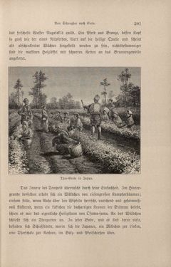 Bild der Seite - 201 - in Im fernen Osten - Reisen des Grafen Bela Szechenyi in Indien, Japan, China, Tibet und Birma in den Jahren 1877 - 1880