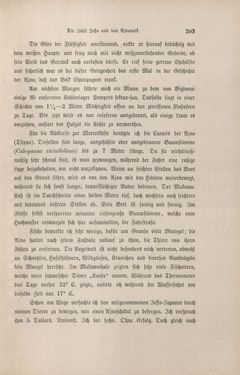 Image of the Page - 303 - in Im fernen Osten - Reisen des Grafen Bela Szechenyi in Indien, Japan, China, Tibet und Birma in den Jahren 1877 - 1880