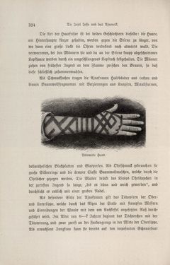 Image of the Page - 324 - in Im fernen Osten - Reisen des Grafen Bela Szechenyi in Indien, Japan, China, Tibet und Birma in den Jahren 1877 - 1880