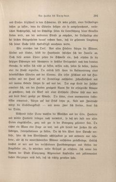 Image of the Page - 391 - in Im fernen Osten - Reisen des Grafen Bela Szechenyi in Indien, Japan, China, Tibet und Birma in den Jahren 1877 - 1880