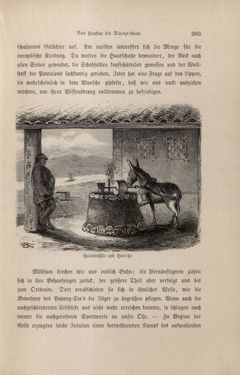 Image of the Page - 393 - in Im fernen Osten - Reisen des Grafen Bela Szechenyi in Indien, Japan, China, Tibet und Birma in den Jahren 1877 - 1880