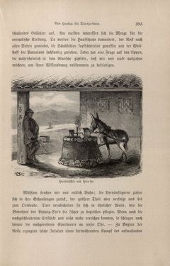 Bild der Seite - 393 - in Im fernen Osten - Reisen des Grafen Bela Szechenyi in Indien, Japan, China, Tibet und Birma in den Jahren 1877 - 1880