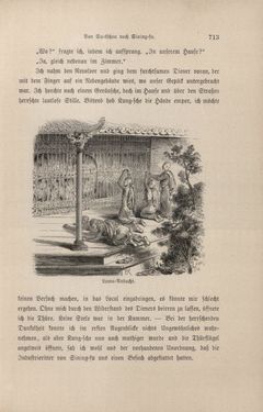 Bild der Seite - 713 - in Im fernen Osten - Reisen des Grafen Bela Szechenyi in Indien, Japan, China, Tibet und Birma in den Jahren 1877 - 1880