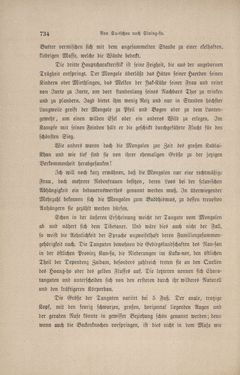 Bild der Seite - 734 - in Im fernen Osten - Reisen des Grafen Bela Szechenyi in Indien, Japan, China, Tibet und Birma in den Jahren 1877 - 1880