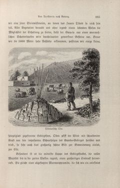 Bild der Seite - 885 - in Im fernen Osten - Reisen des Grafen Bela Szechenyi in Indien, Japan, China, Tibet und Birma in den Jahren 1877 - 1880