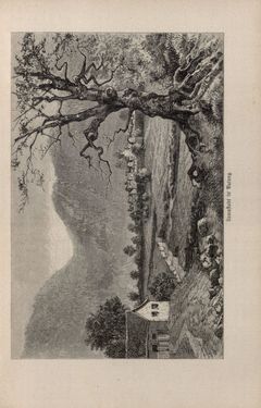 Bild der Seite - 897 - in Im fernen Osten - Reisen des Grafen Bela Szechenyi in Indien, Japan, China, Tibet und Birma in den Jahren 1877 - 1880