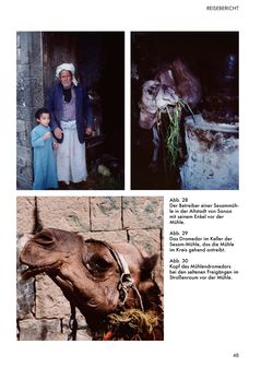 Image of the Page - 48 - in Jemen - Traumhafte Bauten, Wilde Landschaften