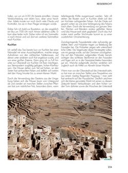 Image of the Page - 224 - in Jemen - Traumhafte Bauten, Wilde Landschaften