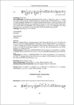 Image of the Page - 96 - in Josef Strauss - Chronologisch-thematisches Werkverzeichnis