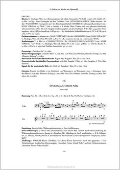 Image of the Page - 222 - in Josef Strauss - Chronologisch-thematisches Werkverzeichnis