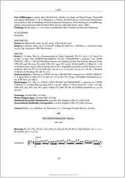 Image of the Page - 251 - in Josef Strauss - Chronologisch-thematisches Werkverzeichnis