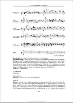 Image of the Page - 252 - in Josef Strauss - Chronologisch-thematisches Werkverzeichnis