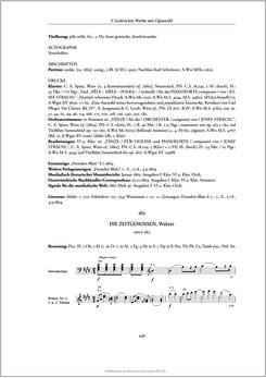 Image of the Page - 256 - in Josef Strauss - Chronologisch-thematisches Werkverzeichnis