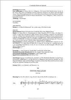 Image of the Page - 300 - in Josef Strauss - Chronologisch-thematisches Werkverzeichnis