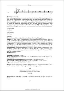 Image of the Page - 301 - in Josef Strauss - Chronologisch-thematisches Werkverzeichnis