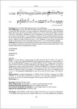 Image of the Page - 307 - in Josef Strauss - Chronologisch-thematisches Werkverzeichnis