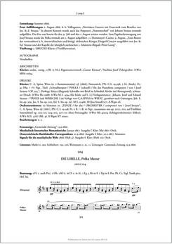 Image of the Page - 315 - in Josef Strauss - Chronologisch-thematisches Werkverzeichnis