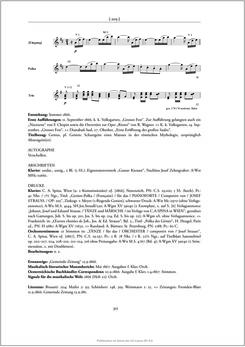 Bild der Seite - 317 - in Josef Strauss - Chronologisch-thematisches Werkverzeichnis