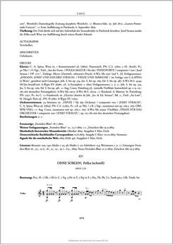 Bild der Seite - 409 - in Josef Strauss - Chronologisch-thematisches Werkverzeichnis