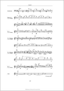 Image of the Page - 411 - in Josef Strauss - Chronologisch-thematisches Werkverzeichnis
