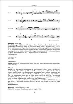 Bild der Seite - 441 - in Josef Strauss - Chronologisch-thematisches Werkverzeichnis