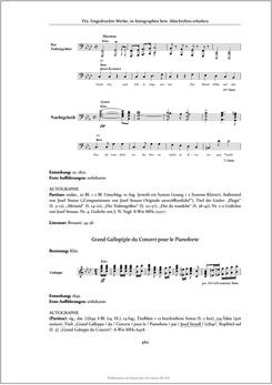 Bild der Seite - 460 - in Josef Strauss - Chronologisch-thematisches Werkverzeichnis