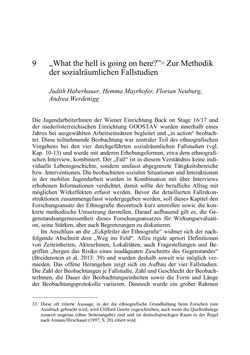 Image of the Page - 165 - in Wirkungsevaluation mobiler Jugendarbeit - Methodische Zugänge und empirische Ergebnisse