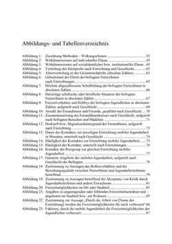 Image of the Page - 345 - in Wirkungsevaluation mobiler Jugendarbeit - Methodische Zugänge und empirische Ergebnisse