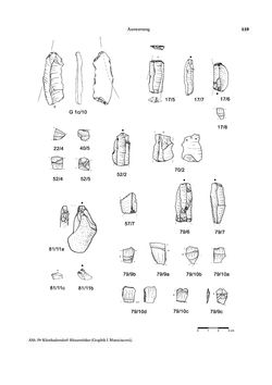 Image of the Page - 119 - in Das linearbandkeramische Gräberfeld von Kleinhadersdorf