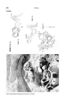 Bild der Seite - 234 - in Das linearbandkeramische Gräberfeld von Kleinhadersdorf