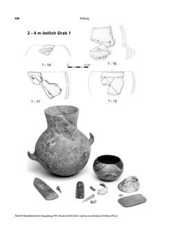 Image of the Page - 238 - in Das linearbandkeramische Gräberfeld von Kleinhadersdorf