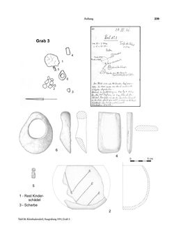 Image of the Page - 239 - in Das linearbandkeramische Gräberfeld von Kleinhadersdorf