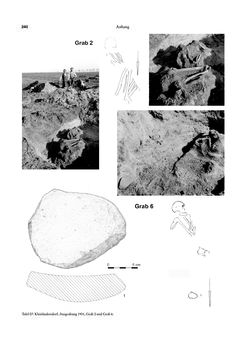 Image of the Page - 240 - in Das linearbandkeramische Gräberfeld von Kleinhadersdorf