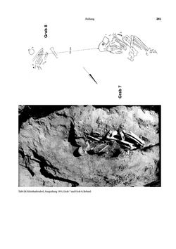 Image of the Page - 241 - in Das linearbandkeramische Gräberfeld von Kleinhadersdorf