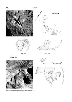Image of the Page - 244 - in Das linearbandkeramische Gräberfeld von Kleinhadersdorf