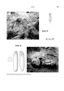 Image of the Page - 245 - in Das linearbandkeramische Gräberfeld von Kleinhadersdorf